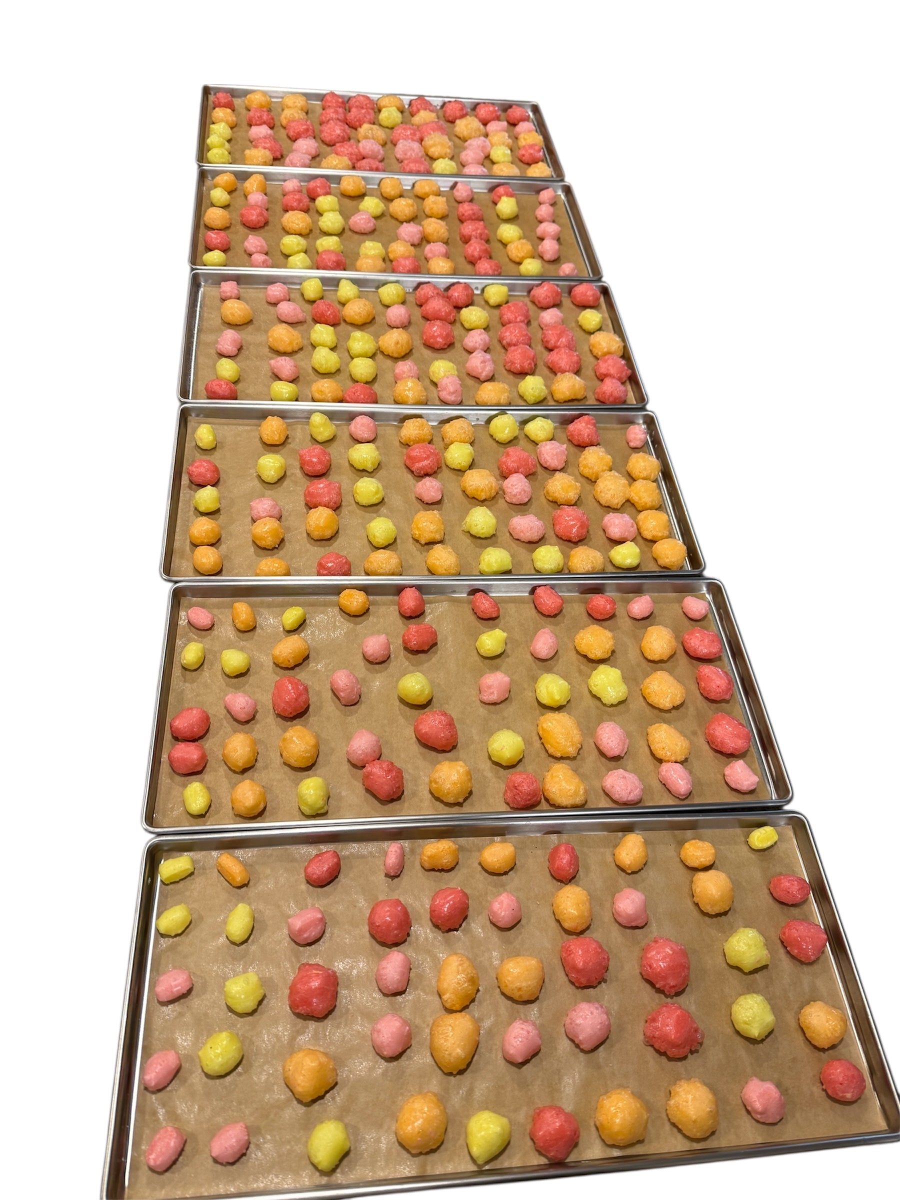 Starburst fresh out of the freeze dryer. 